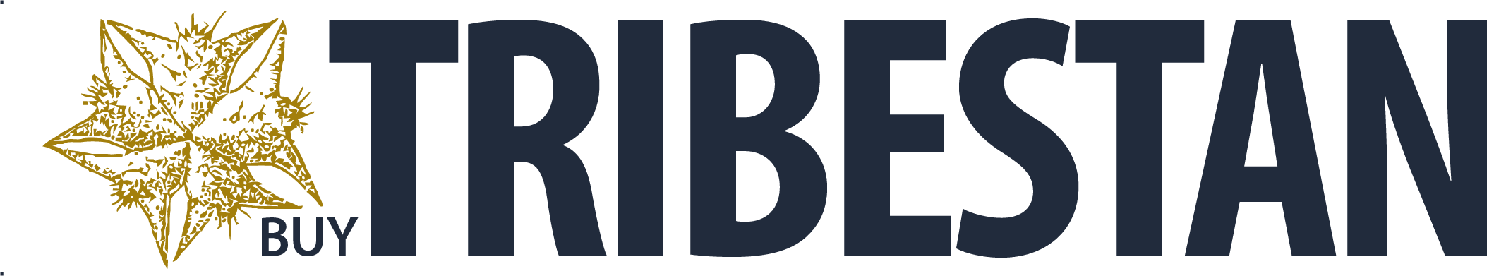 Tribestan (Sopharma) Lietuvoje – buytribestan.lt