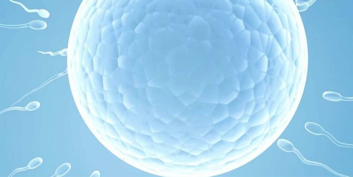 Bulgarijos Tribulus Terrestris – veiksminga priemonė vaisingumui gerinti